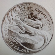 2zł Jaszczurka z NPB z menniczym połyskiem