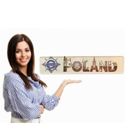 Tablica rejestracyjna lub mroźna pleksi, różne wymiary,Imienna + przyssawki