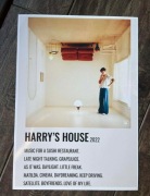 Plakat A4 kodak poster harry styles 