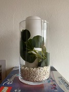  Wazon Szklany Cylinder Prosty 25x15 cm Grube Szkł