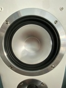 Głośnik średniotonowy fabryczny nie przewijany 13605 Canton Chrono 509DC