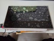 Matryca matowa HD+ 14" LG LP140WD2-TLE2 (Lenovo Carbon X1, T430)