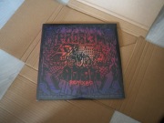 Pro8l3m Art Brut remixed winyl 