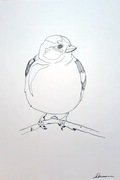 Obrazek Grafika Rysunek wróbel