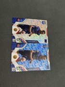 Karty piłkarskie panini