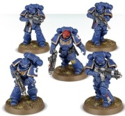 5x PRIMARIS INTERCESSORS A Dark Imperium Space Marines Warhammer 40k