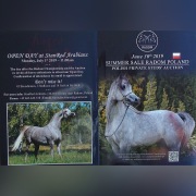 "SUMMER SALE RADOM 2019", katalog aukcyjny