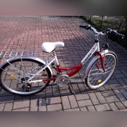 ROWER ROMET DELTA MISS 24'' 