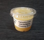 Naturalny miód do mrówek 25ml. Wielokwiatowy wiosenny 