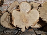 AKACJA ROBINIA 50/45/9 cm Po Suszarni Blat Plaster Drewna Stolik DIY Suchy