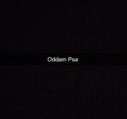Oddam psa w dobre ręce 