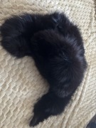 Czapka i kołnierz z prawdziwego lisa