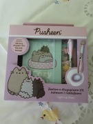 Zestaw kreatywny Pusheen 