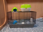 klatka dla myszy z wyposażeniem