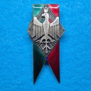 Odznaka 2 Pułk Strzelców Konnych