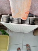  grzejnik st. 22,1 żeliwny żeberkowy /10/,CO 