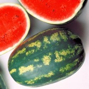 Nasiona arbuza Torpila F1 