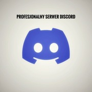Customowy serwer Discord - DARMOWA wycena 