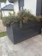 Ręcznie robione donice betonowe RÓŻNE RODZAJE 