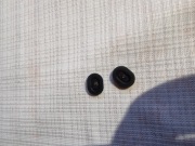 Gumki klawiszy do Cat S41