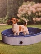 BASEN DLA PSA ZWIERZĄT DUŻY SKŁADANY OGRODOWY XXL 65l