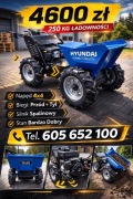  HYUNDAI Mini Dumper 250KG | 4x4 |