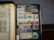 Fi roczniki 1982 - 1983 kompletne (**) czyste