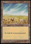 MTG Mirage: Plains (B)