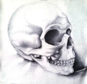 rysunek ołówkiem, rozmiar 50x50cm 