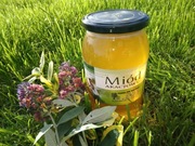 MIÓD AKACJOWY z własnej pasieki 