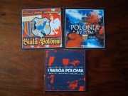 Vlepki Polonia Bytom #2