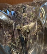 Oregano bukiet, suszone kwiaty