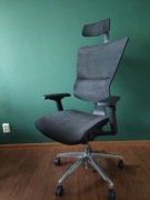 Fotel ergonomiczny Grospol Ioo