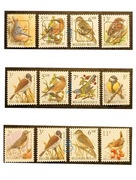 PTAKI ŚWIATA - BELGIA ** - czysty - po 4,- 