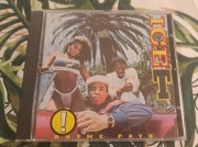 Ice-T - Rhyme Pays / super stan