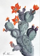 Kaktus opuncja figowa Original Akwarela 30*21cm