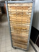 Kasty do odroczonego rozrostu  Zestaw 