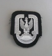 Orzeł lotniczy WP
