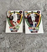 karty FIFA world cup qatar2022 titan