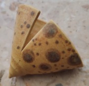 zawieszka ceramiczna-muszelka