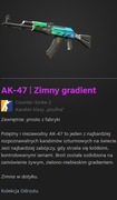 CS:GO CSGO CS2 skin  AK-47 | Zimny gradient