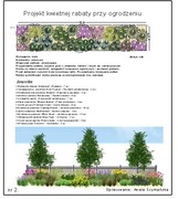 7. Projekt rabaty przy ogrodzeniu 3 jeżówka liliowiec, floksy, szałwia