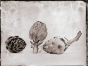 Ambrotypia - Hell's Kitchen 021