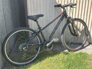 Rower Kross Evado JR 1.0 