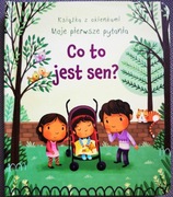 Co to jest sen? Książka z okienkami 