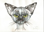 M KONCZALSKI obraz akryl tusz kred KOT bajka KOTEK