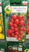 Pomidor gruntowy KORALIK 1g