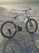 Rower górski Kands Energy 700