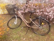 Rower trekkingowy damski Romet Gazela 26.2 26” złoto-biały | rama 15”