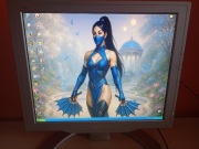 Retro Monitor Philips - PC, Amiga, Commodore 